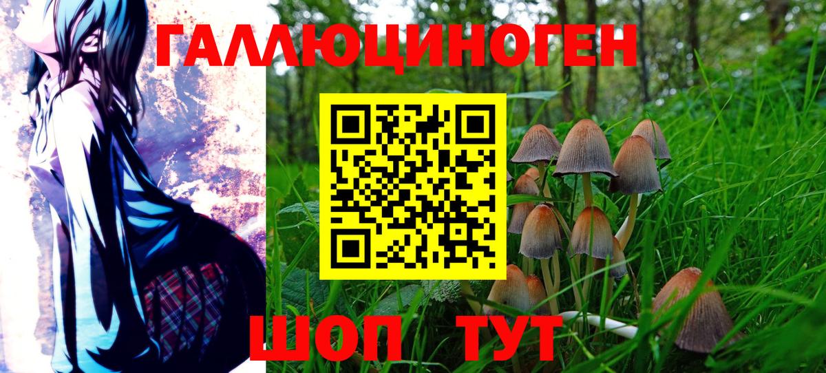 Галлюциногенные грибы Psilocybe Шарыпово